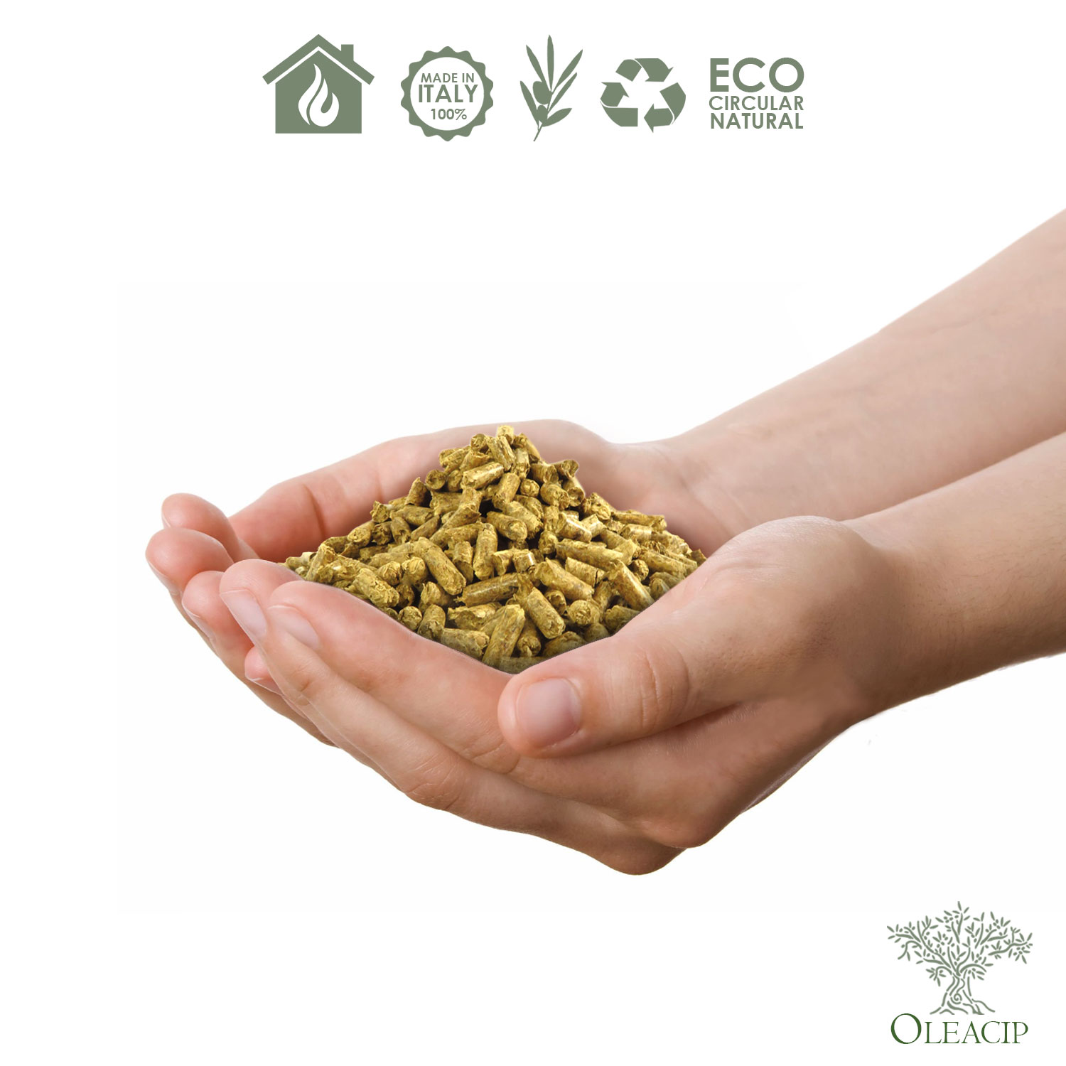 Alternative view of Pellet in legno d'Olivo