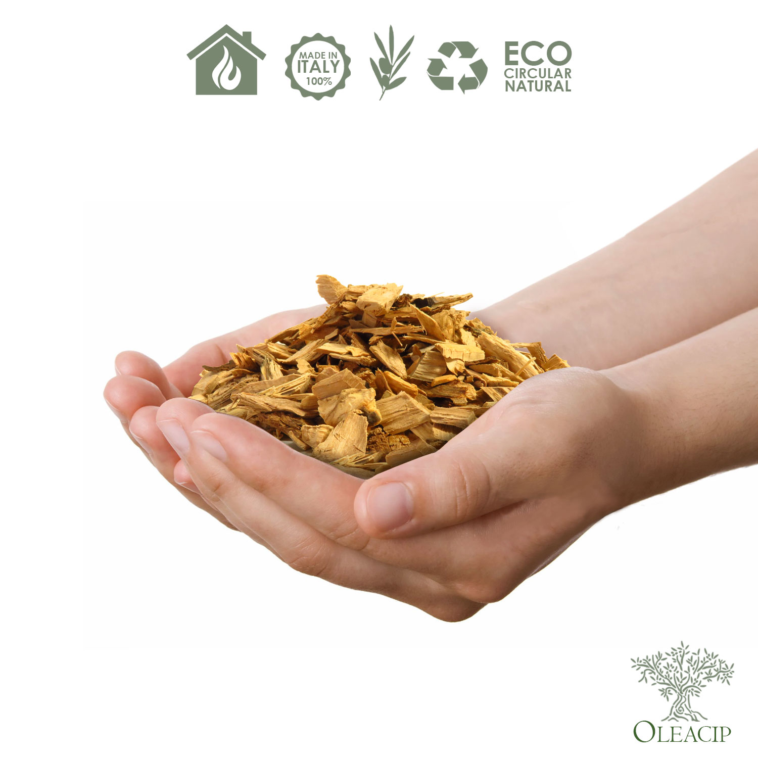 Alternative view of Cippato in legno d'Olivo selezionato